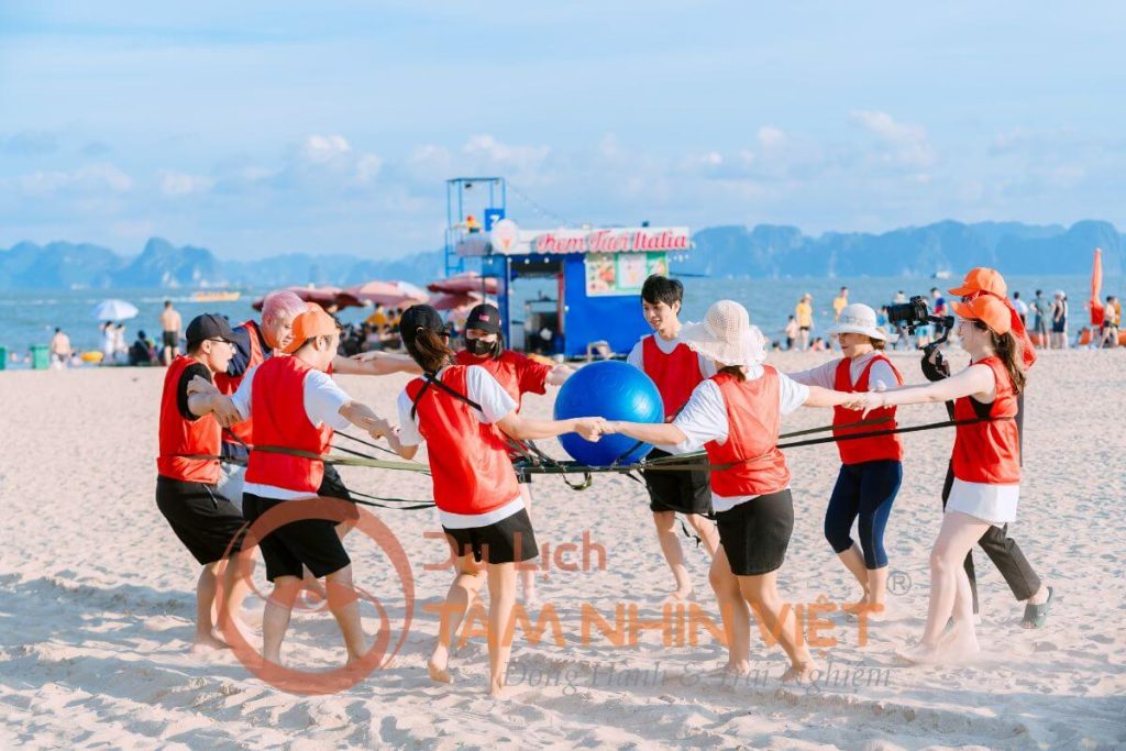 Công Ty Du Lịch Tầm Nhìn Việt
