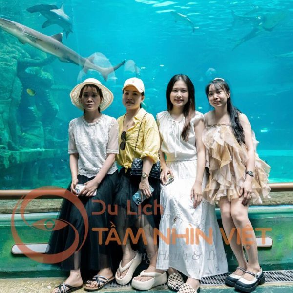 Gia đình vui chơi tại công viên nước VinWonders Phú Quốc