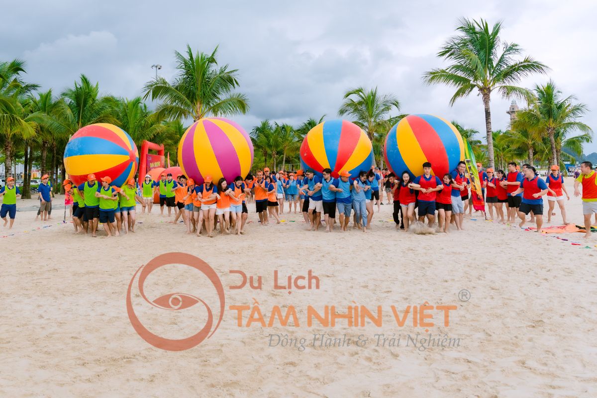 Hoạt động gắn kết tập thể trong tour Vũng Tàu teambuilding 1 ngày chuyên nghiệp Hoạt động gắn kết tập thể trong tour Vũng Tàu teambuilding 1 ngày chuyên nghiệp