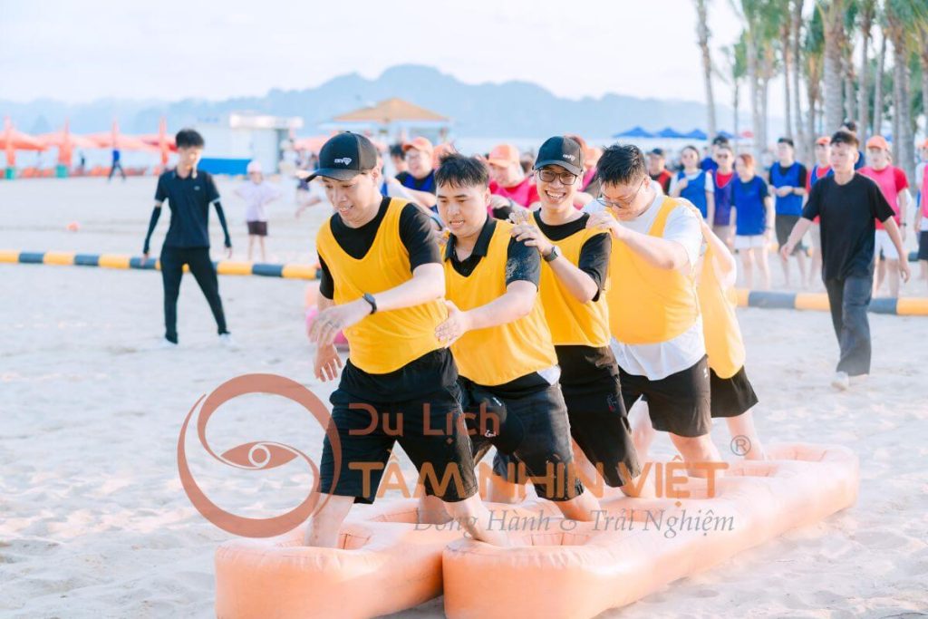 Công Ty Du Lịch Tầm Nhìn Việt