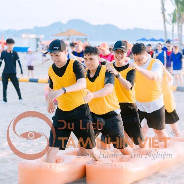 Hoạt động gắn kết tập thể trong tour team building Hạ Long