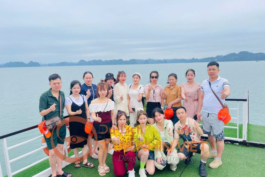 Công Ty Du Lịch Tầm Nhìn Việt