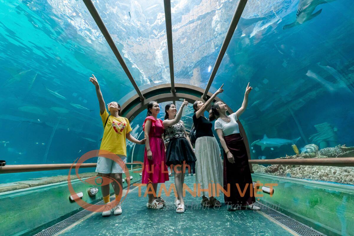 Trải nghiệm thế giới đại dương tại VinWonders Phú Quốc