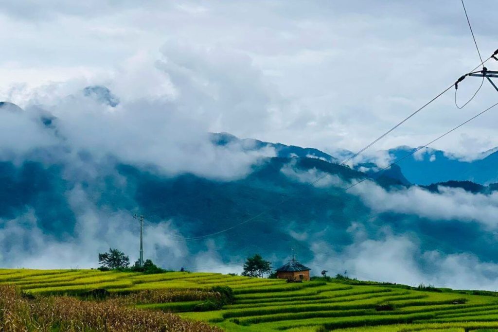 Công Ty Du Lịch Tầm Nhìn Việt