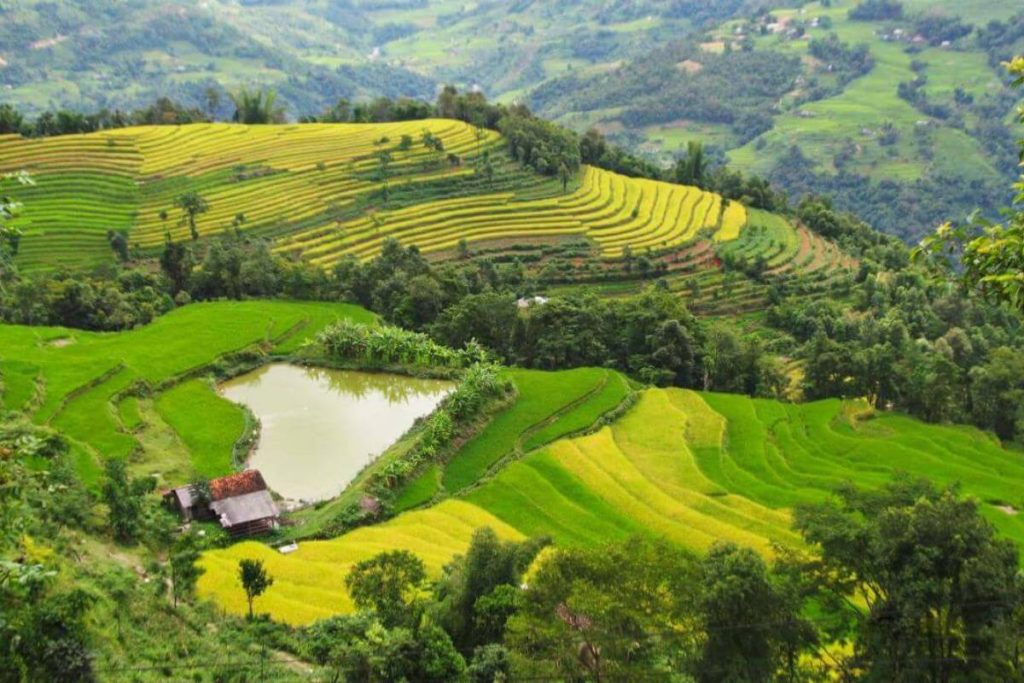 Công Ty Du Lịch Tầm Nhìn Việt