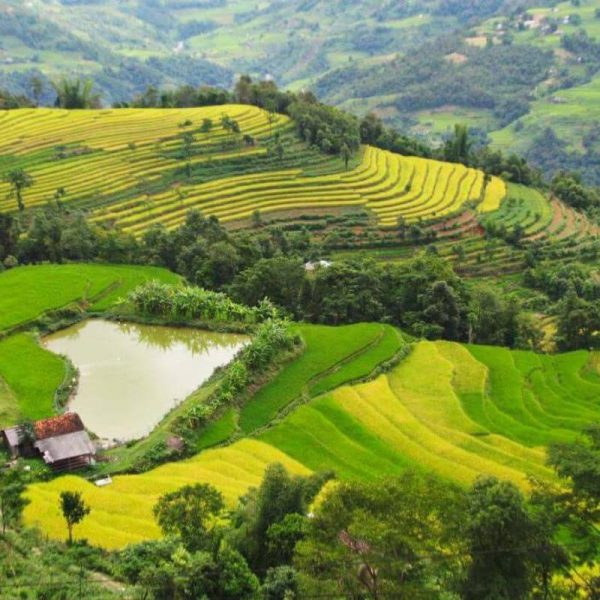 Cảnh sắc núi non và những thửa ruộng bậc thang tại Xín Mần
