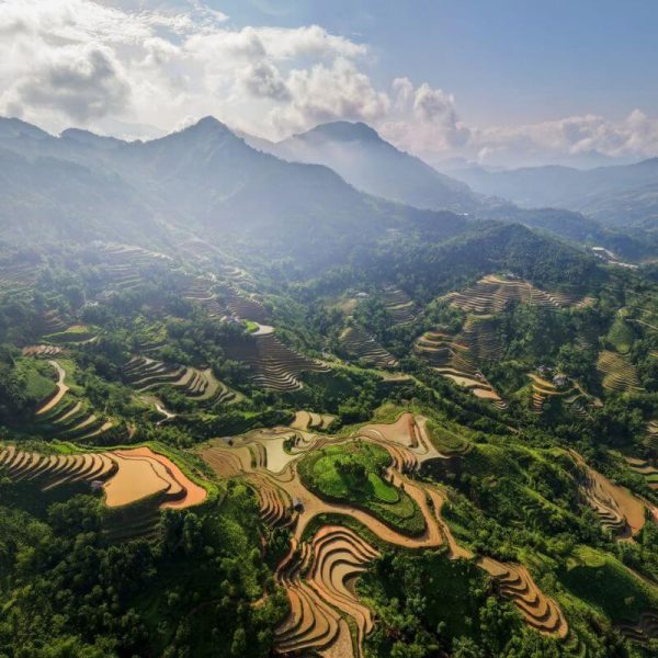 Hoàng Su Phì