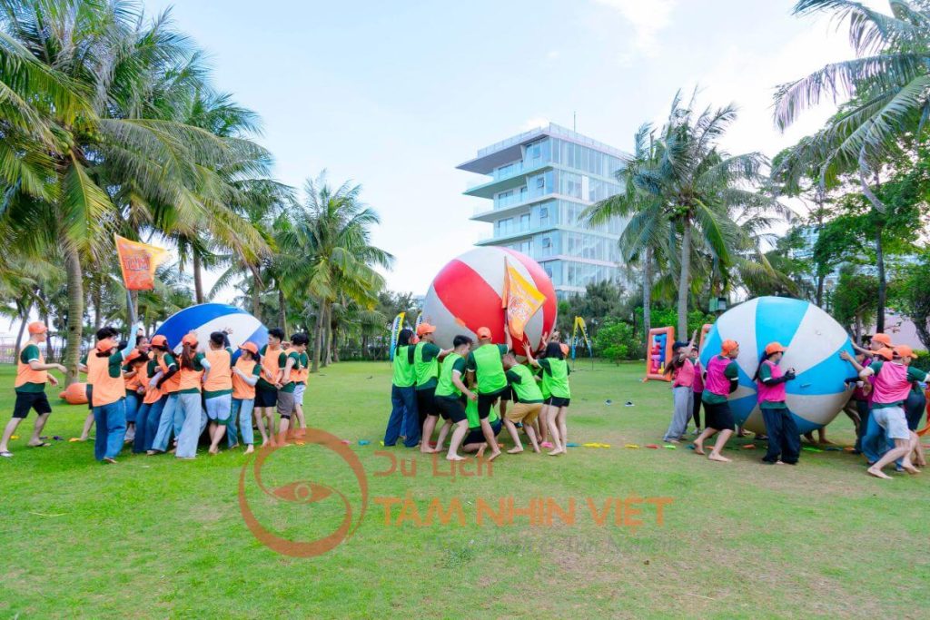 Công Ty Du Lịch Tầm Nhìn Việt