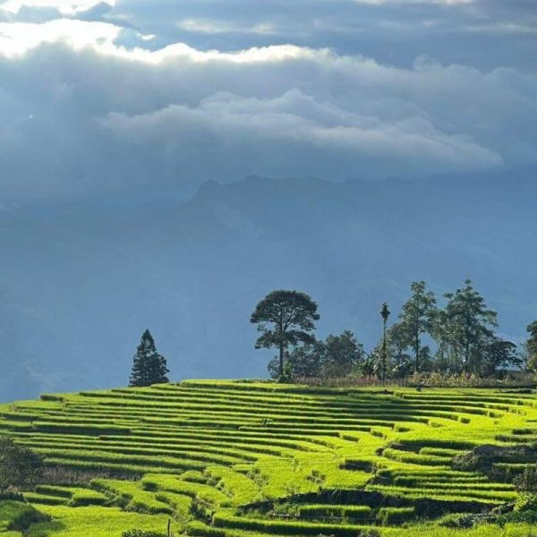 Khung cảnh ruộng bậc thang và bản làng vùng cao tại Y Tý Lào Cai