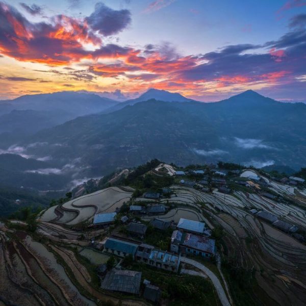 Toàn cảnh ruộng bậc thang Hoàng Su Phì mùa lúa chín vàng rực tạo nên bức tranh thiên nhiên hùng vĩ vùng cao Hà Giang.