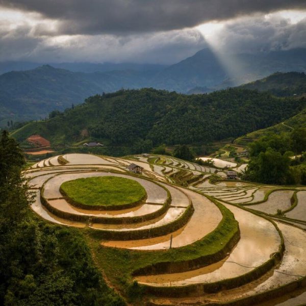 Tour Hoàng Su Phì Suôi Thầu Bắc Hà 3N2Đ trải nghiệm săn ảnh mùa lúa chín và văn hóa vùng cao Tây Bắc