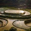 Tour Hoàng Su Phì Suôi Thầu Bắc Hà mùa lúa chín 3 ngày 2 đêm khám phá ruộng bậc thang đẹp nhất Hà Giang