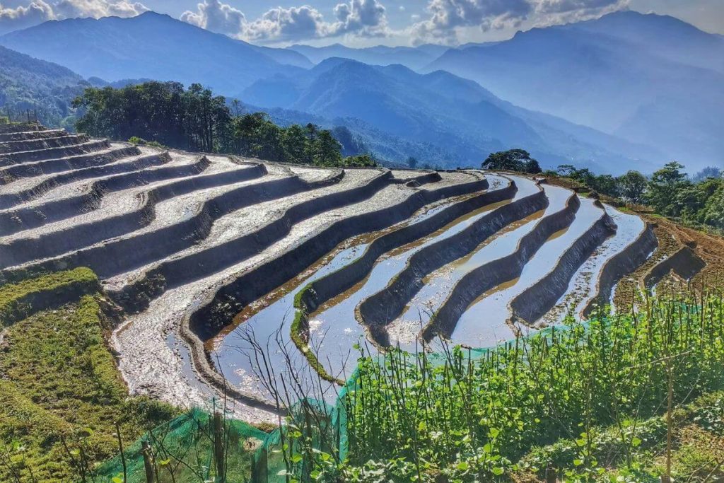 Công Ty Du Lịch Tầm Nhìn Việt