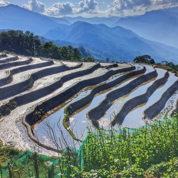 Tour Y Tý Săn Mây 2 Ngày 1 Đêm khám phá biển mây vùng cao Tây Bắc