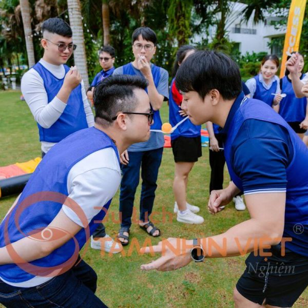 Tour Team Building Ivory Villas & Resort Hòa Bình với các trò chơi đồng đội sôi động