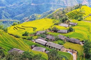 Hoàng Su Phì mùa lúa chín
