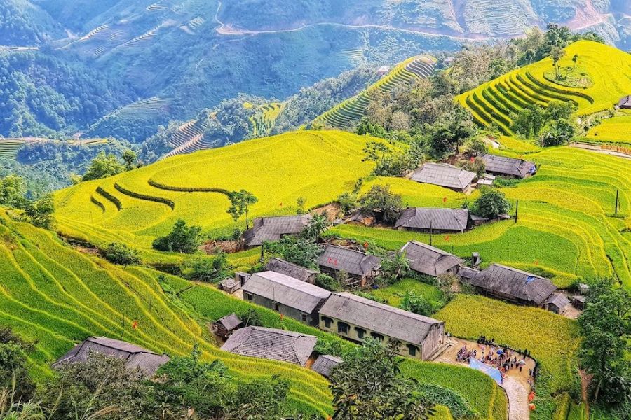 Hoàng Su Phì mùa lúa chín