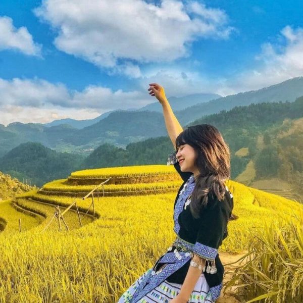 Mùa Vàng Hoàng Su Phì