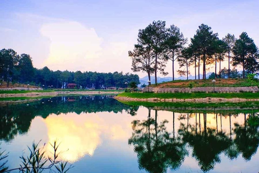 Rừng thông Bản Áng và hồ nước ở Mộc Châu
